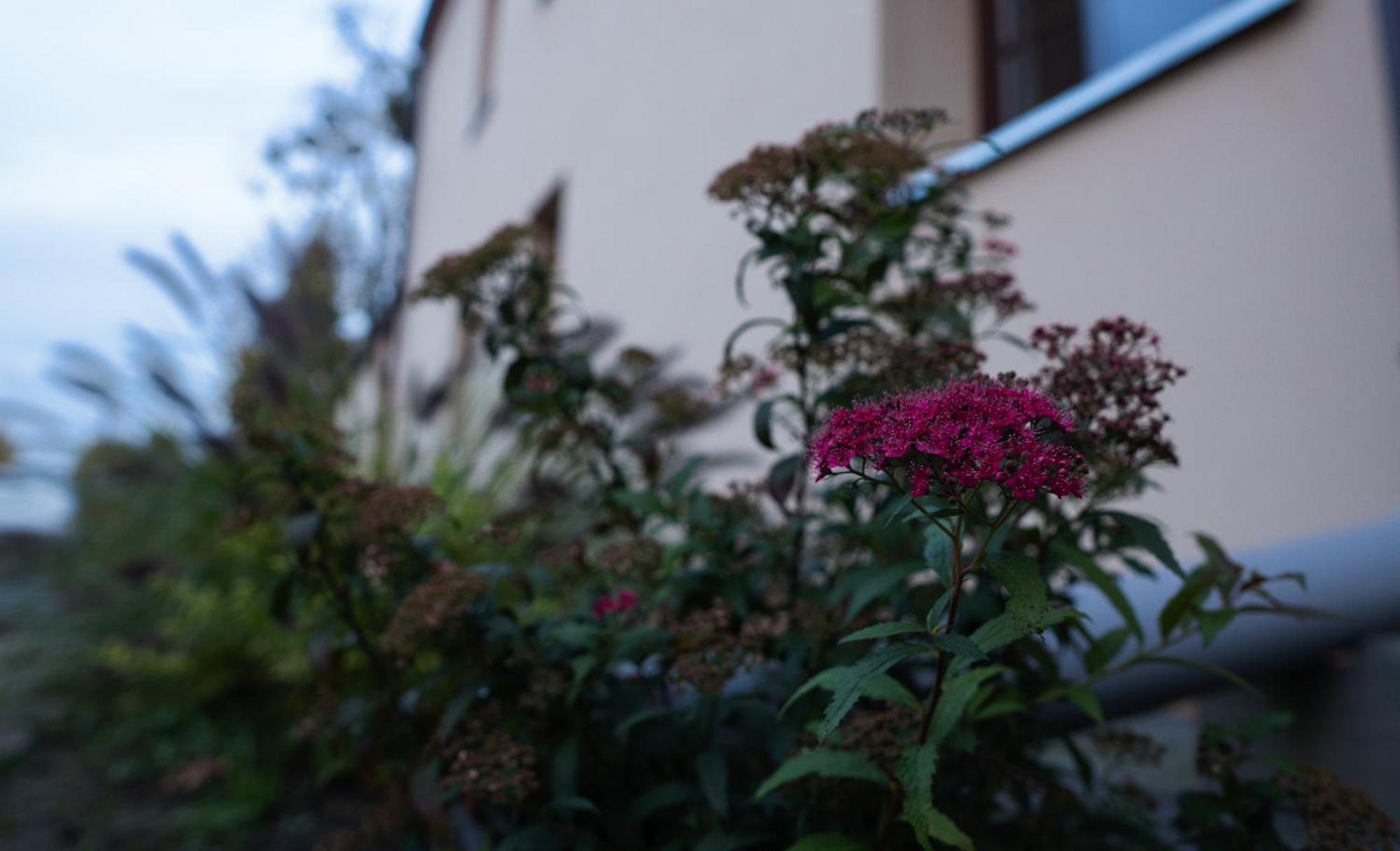 Chodzież Uroczysko Olesnica B&B 외부 사진